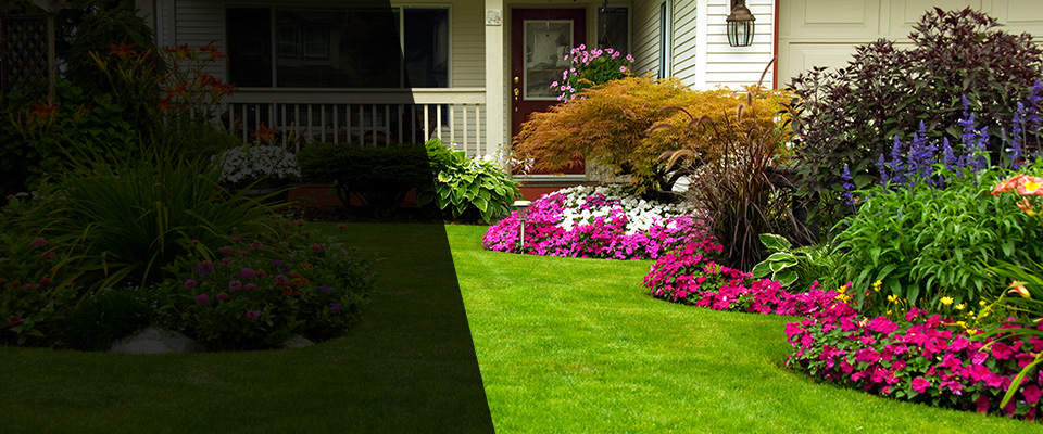 Comfort Landscapers