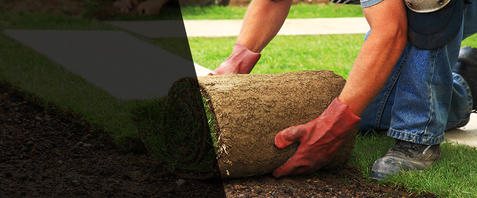 Comfort Landscapers
